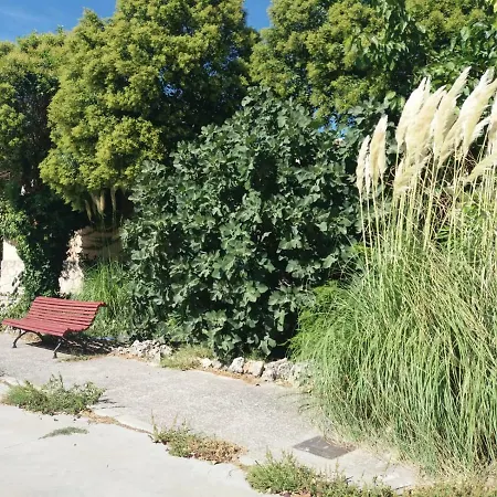 De Anil - Jardin Privado